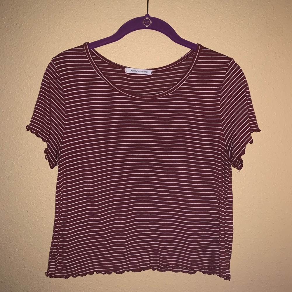 Burnt Orange Striped Crop Top